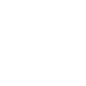 fonktown logo bien blanco